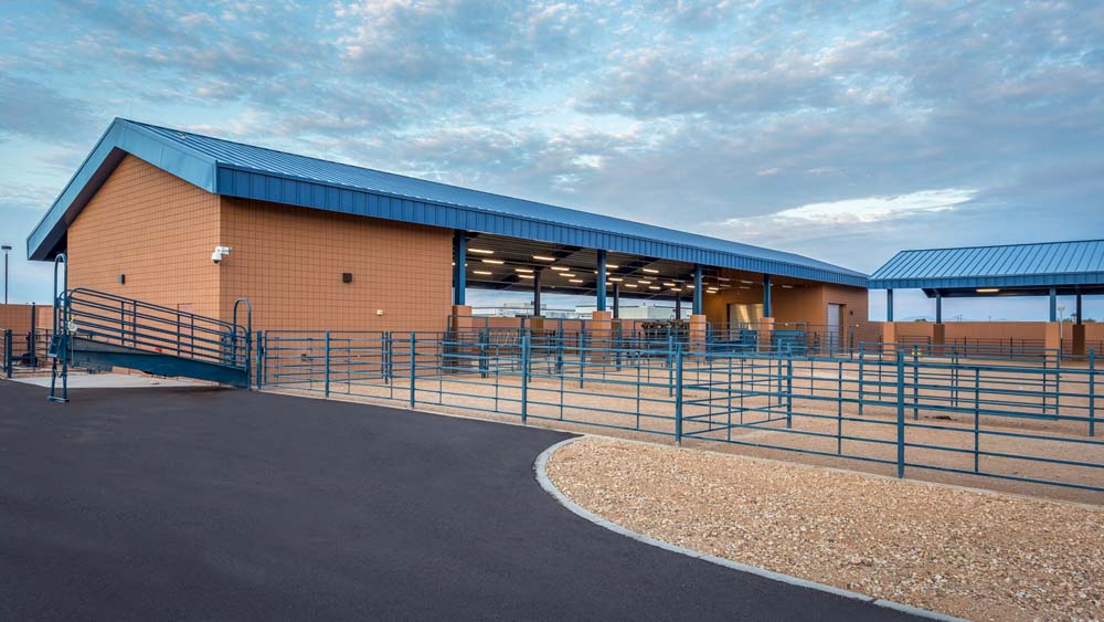 Barn areas of the large animal facility