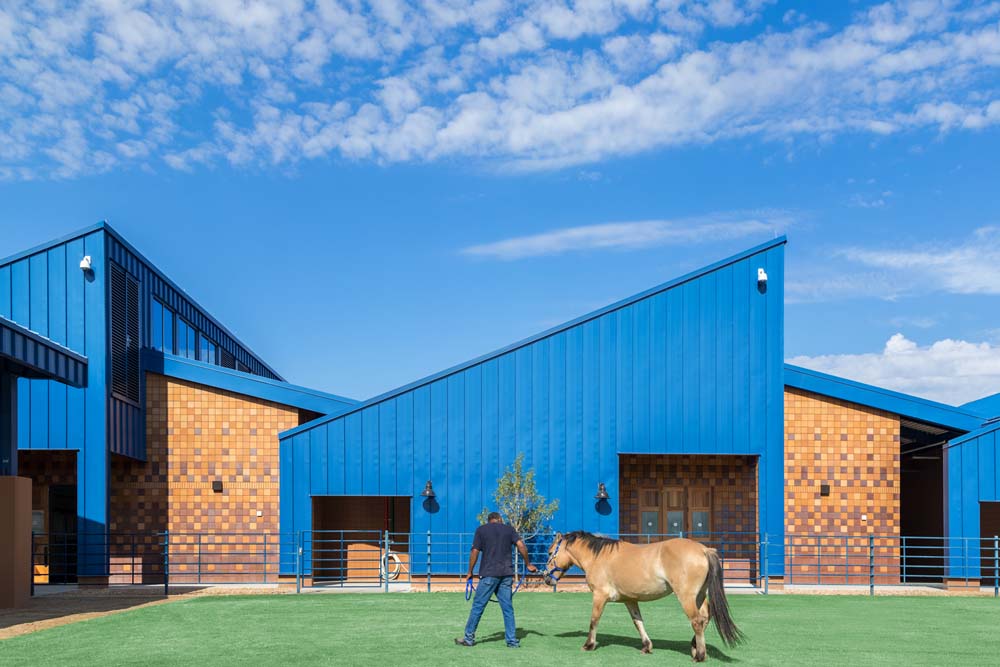 Close up view of the large animal facility with a horse in the field