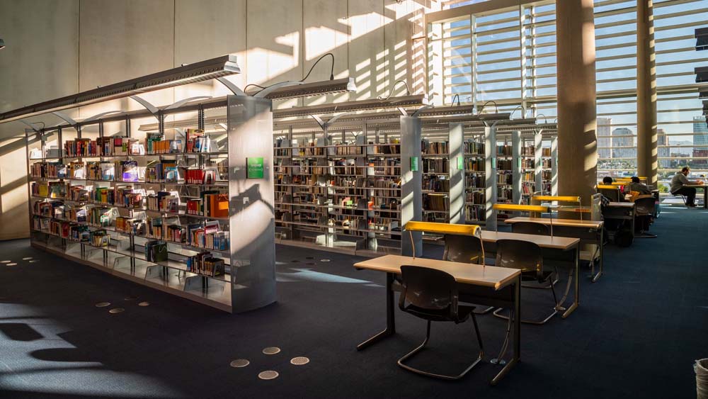 Library stacks within the building